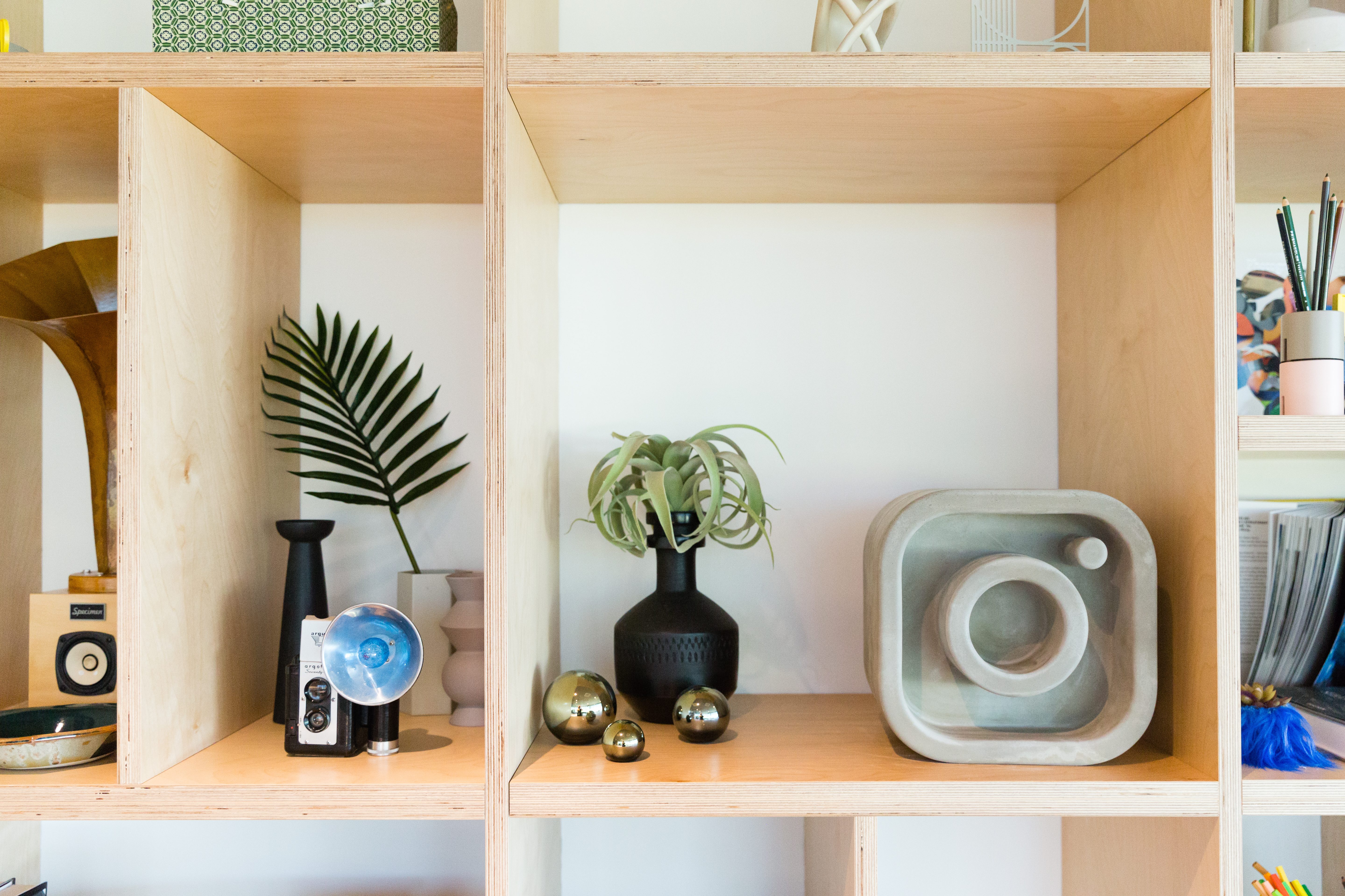 IG Logo on shelf