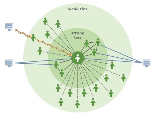 Rethinking Information Diversity in Networks