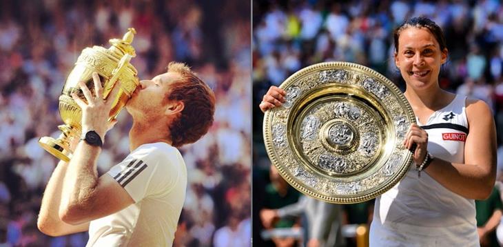 2013 Wimbledon Tennis Championships on Facebook