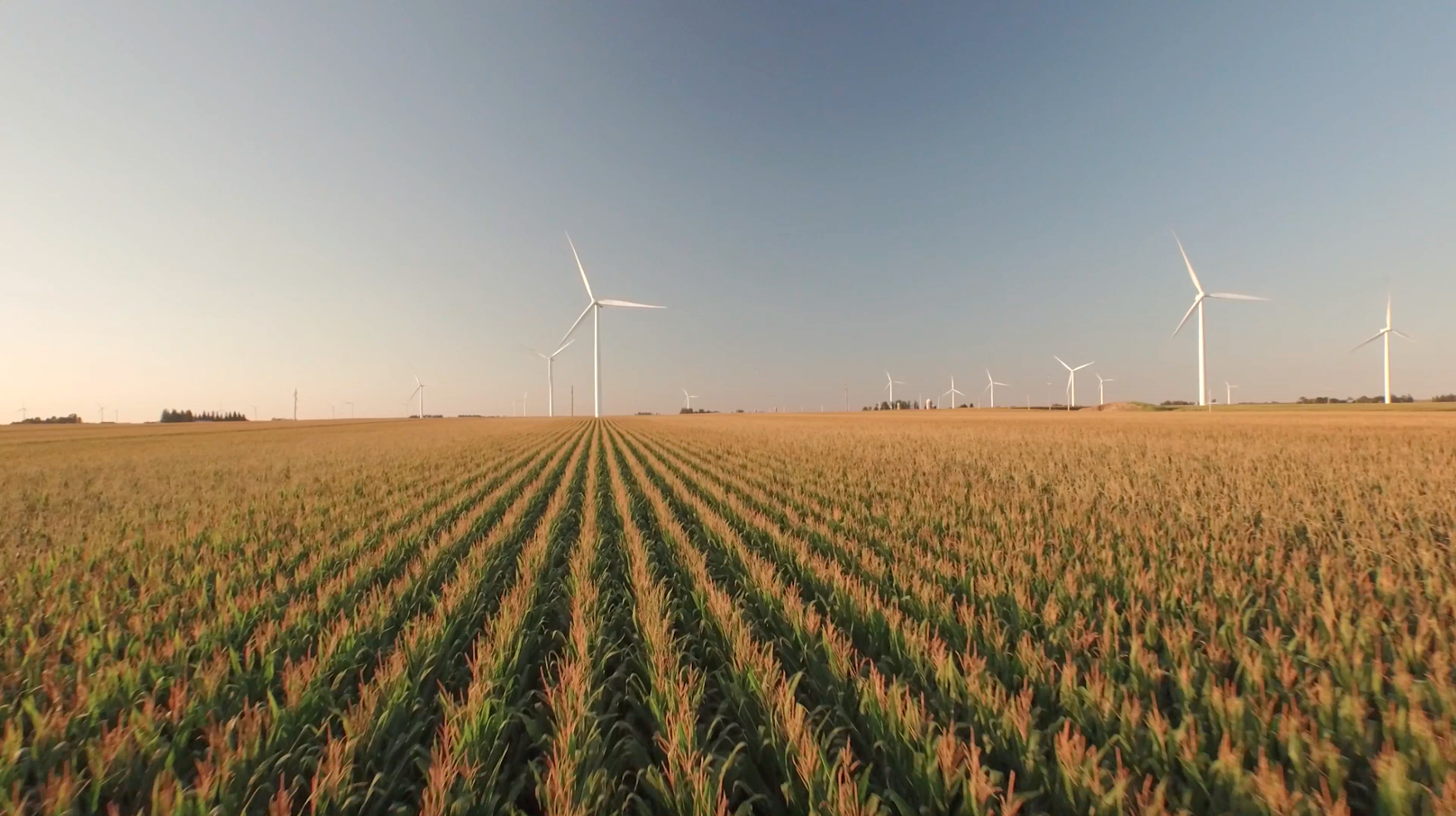 Wind Turbines in Iowa