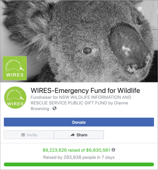 Screenshot of fundraiser for Australian wildlife