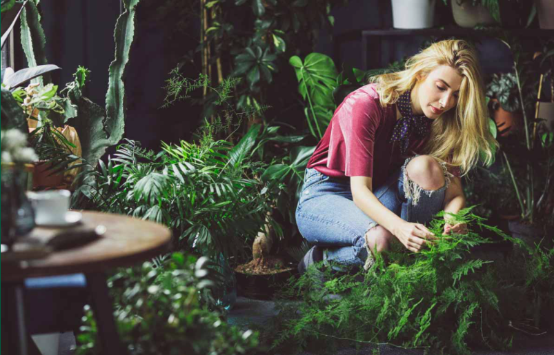 Plant shop owner tending to plants