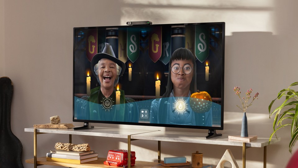 Image of Harry Potter on Portal