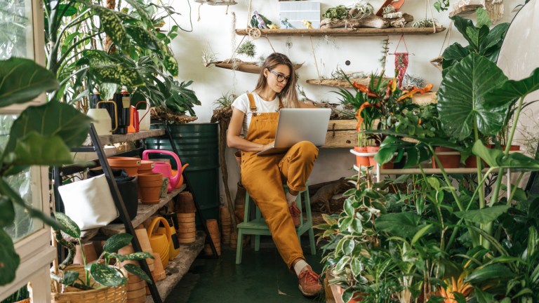 Image of woman on laptop with plants in the background