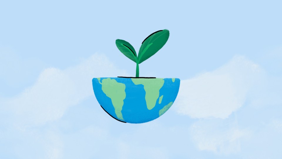 Illustration for Climate Week