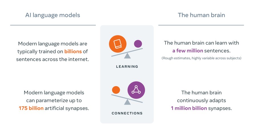 Infographic comparing AI language models to the human brain