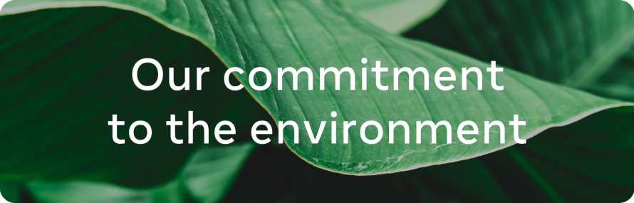 Meta's commitment to the environment graphic