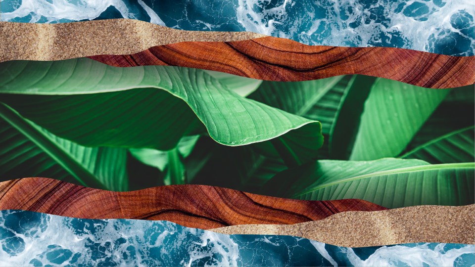 Earth Day 2022 image collage