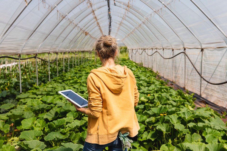 Woman in a greenhouse