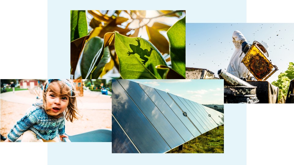 Sustainability Report and Climate Survey Header Image