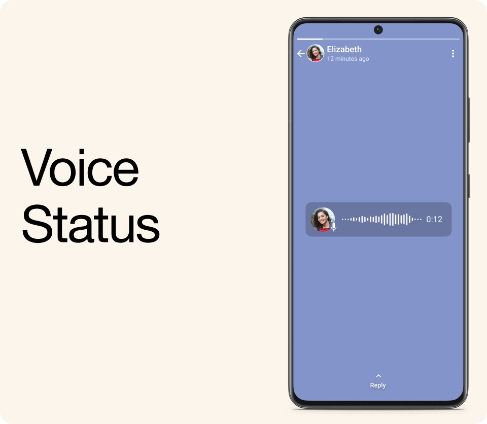 An image of a voice status on WhatsApp.