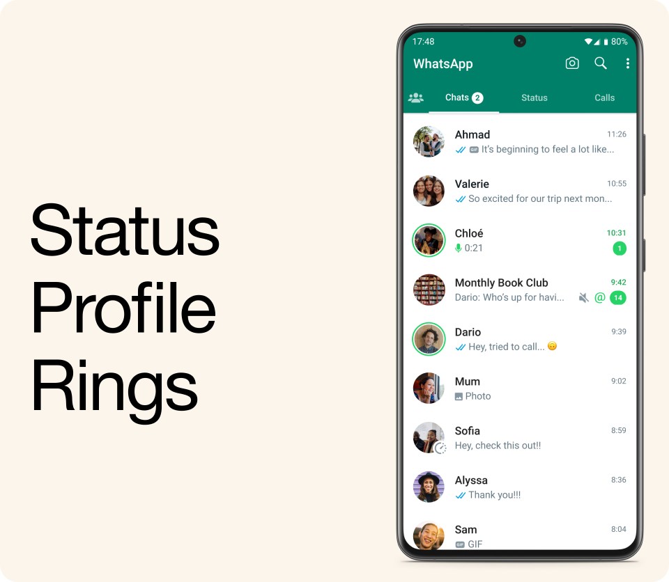An image showing profile status rings on WhatsApp.