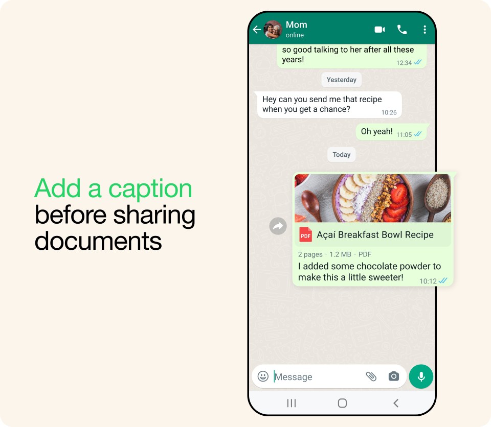 An image showing the capability to add a caption before sharing documents on WhatsApp.