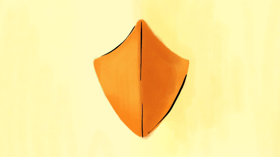 Illustration of a safety shield