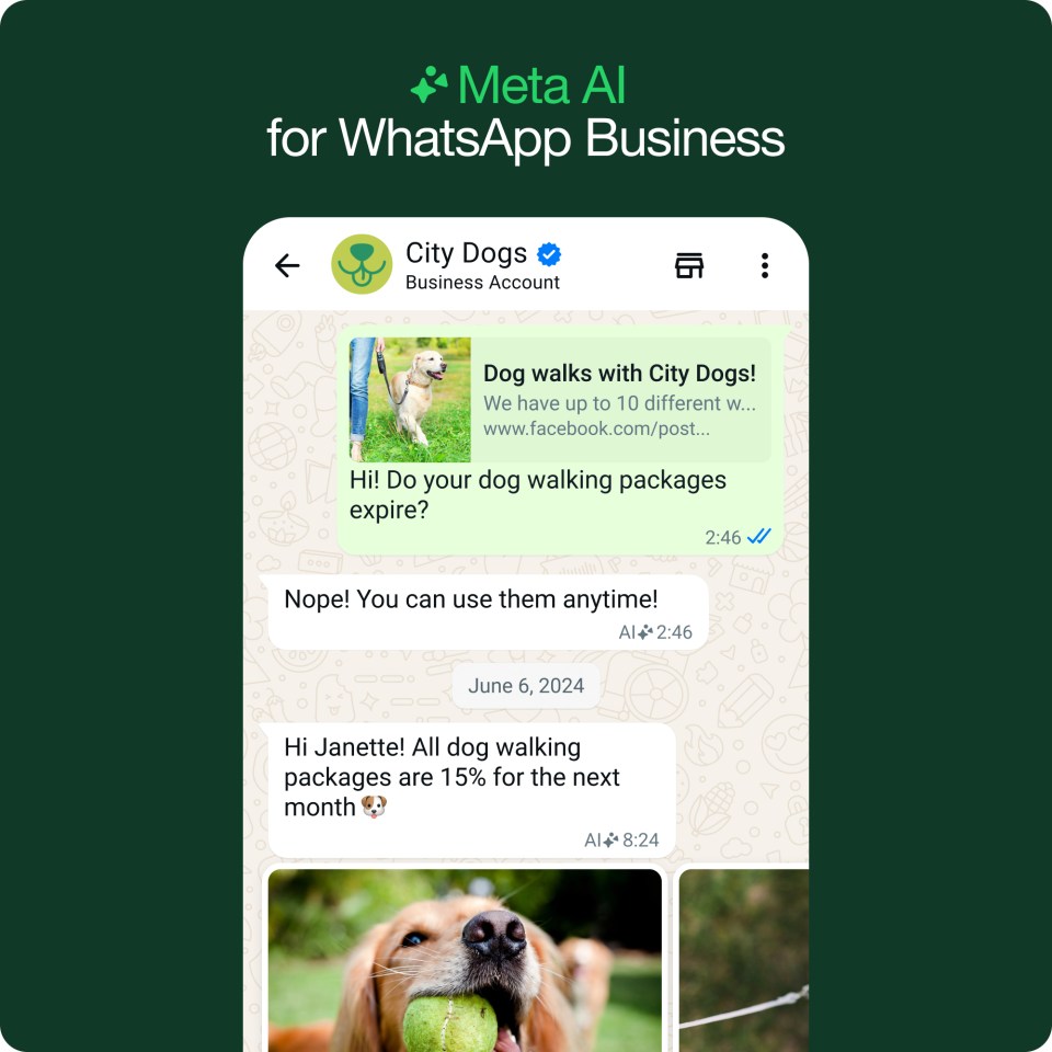 A phone screen showing Meta AI for WhatsApp Business.