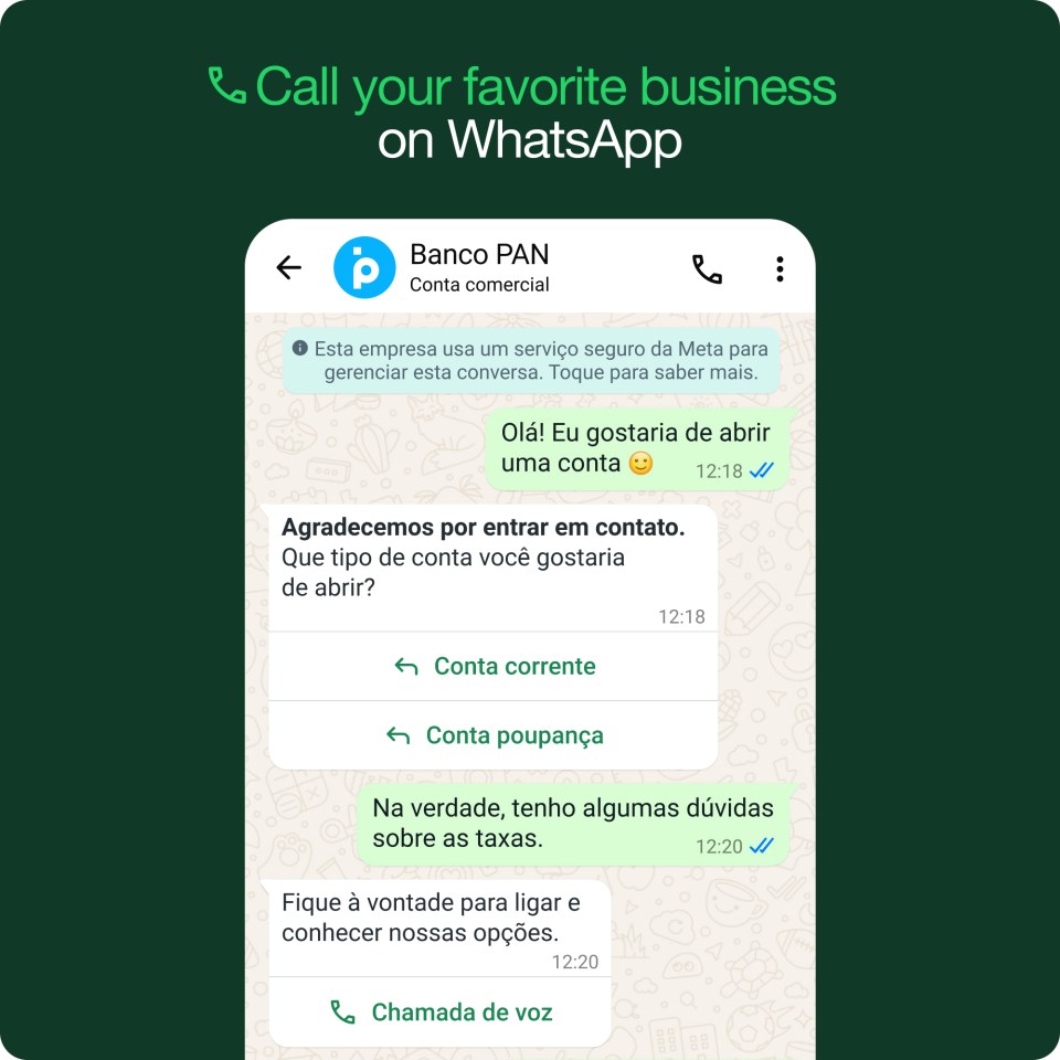A phone screen showing you how to call your favorite businesses using WhatsApp.