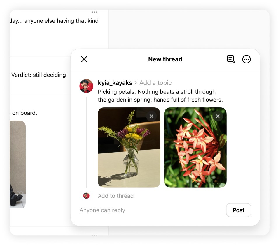 Image showing pop-up editor on Threads