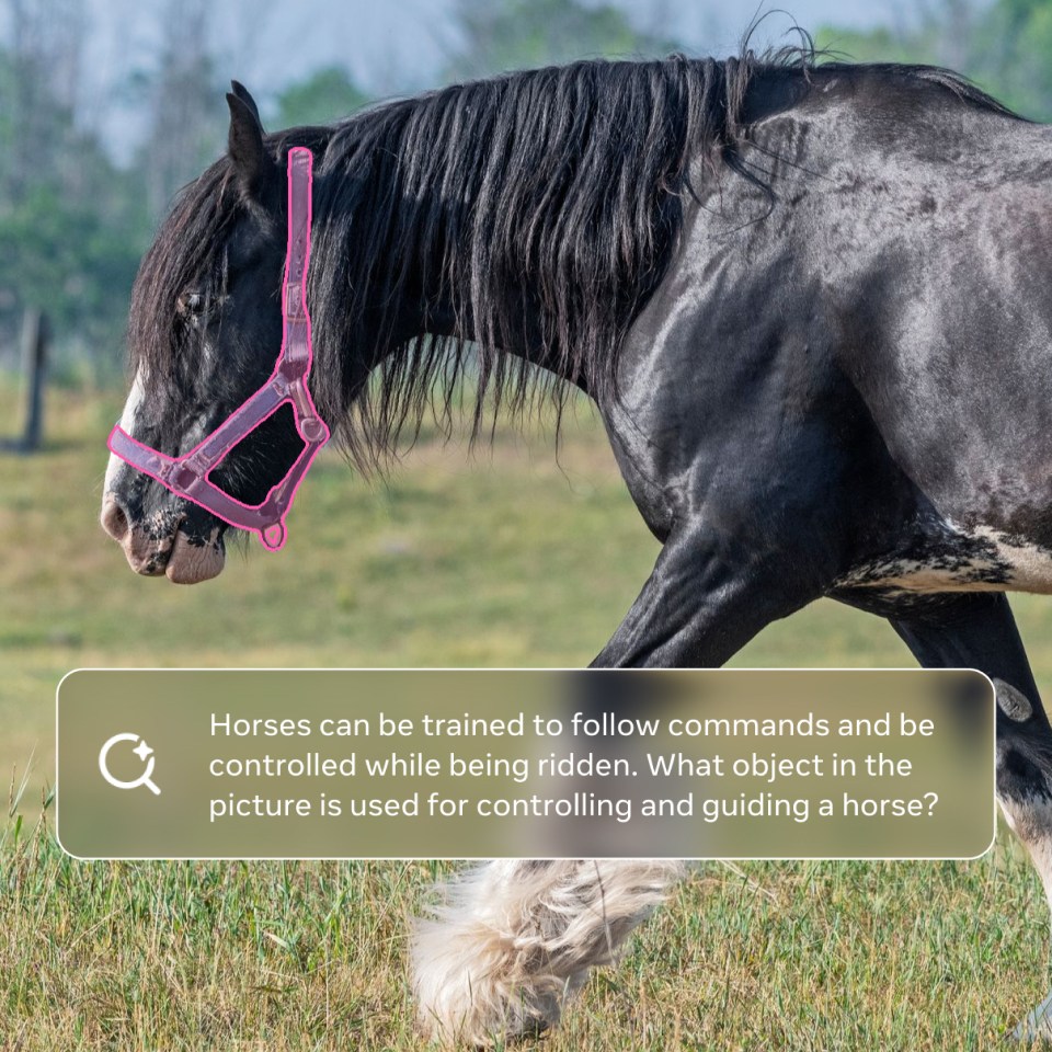 Photo of a horse with SAM UI overlaid